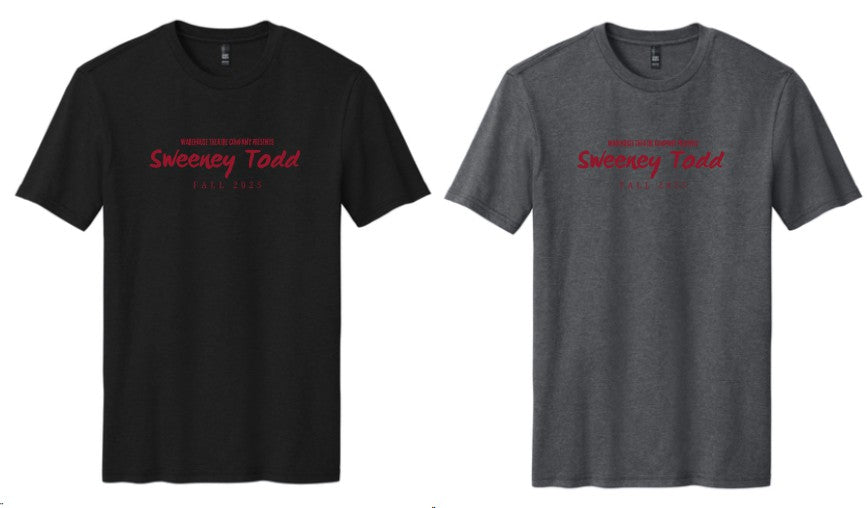 WTC DM130 Perfect Triblend ® Tee Sweeney Logo